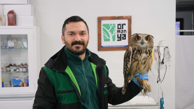 Binlerce yaban hayvanı hayata döndürüldü