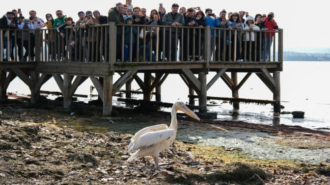 Dünya Sulak Alanlar Günü, ‘Flamingo Şenliği’ ile kutlandı