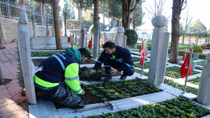 Şehit mezarları çiçeklerle donatıldı