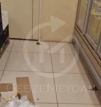 Gebze’deki Şok markette fare skandalı!