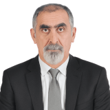 Vedat TEKİN