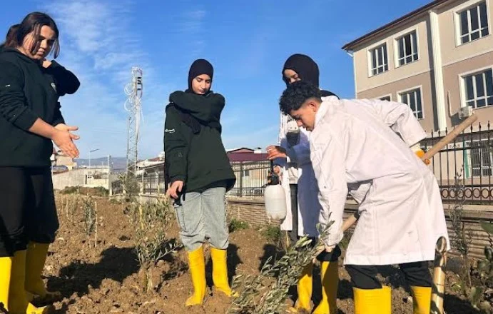 Depremde yitirilen öğretmenler için zeytinlik kuruldu
