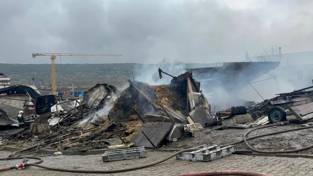 Kocaeli’de ağıl yangını! Yüzlerce hayvan telef oldu