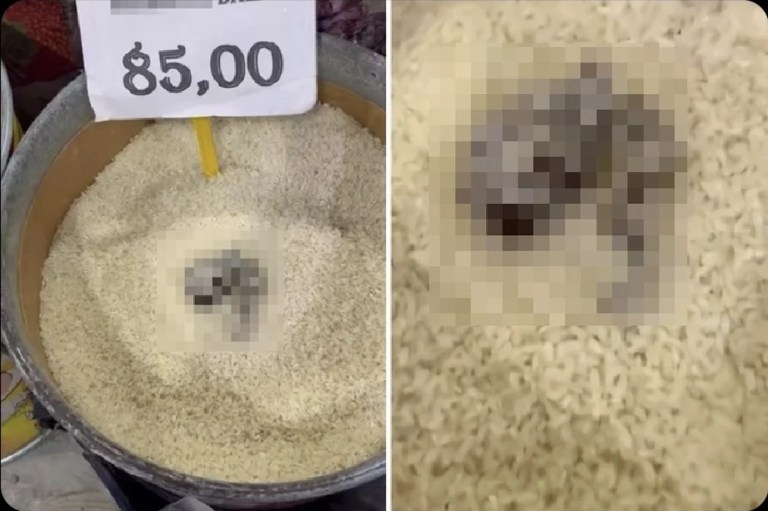 Mersin’de kedi dışkılı pirinçlere ceza!