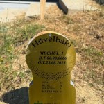 Kocaeli'de her cenaze onurla defnediliyor - 3. görsel