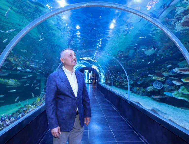 Körfez Aqua Akvaryumu kapılarını açıyor