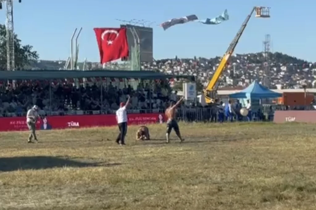 Sekapark’ta Altın Kemer Feyzullah Aktürk’ün