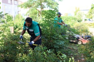 Derince’de parklar yenileniyor