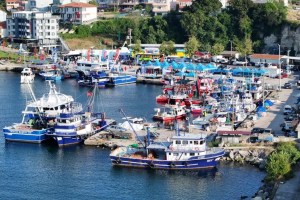 Kocaeli balıkçısına 19,7 milyonluk destek